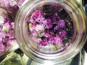 how-to-make-white-wine-vinegar